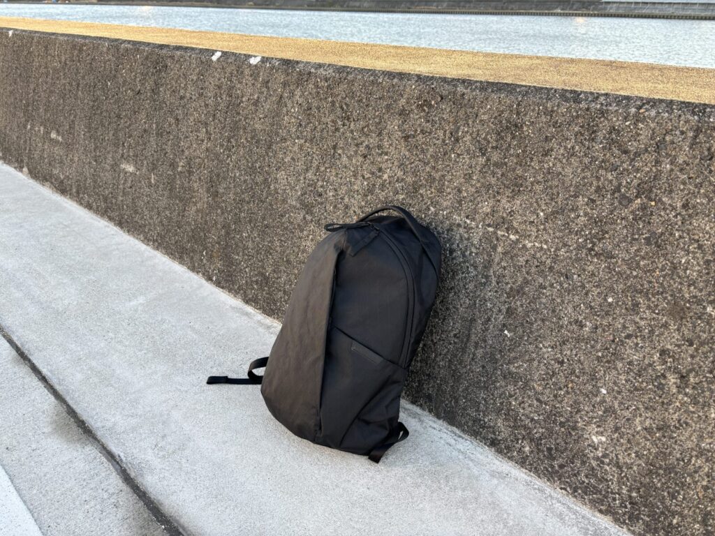 Able Carry Thirteen Daybag