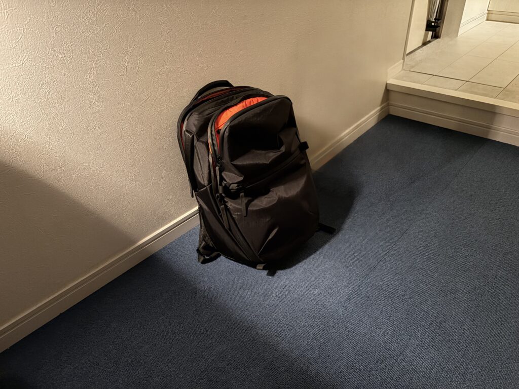 Aer City Pack Pro 2 20L